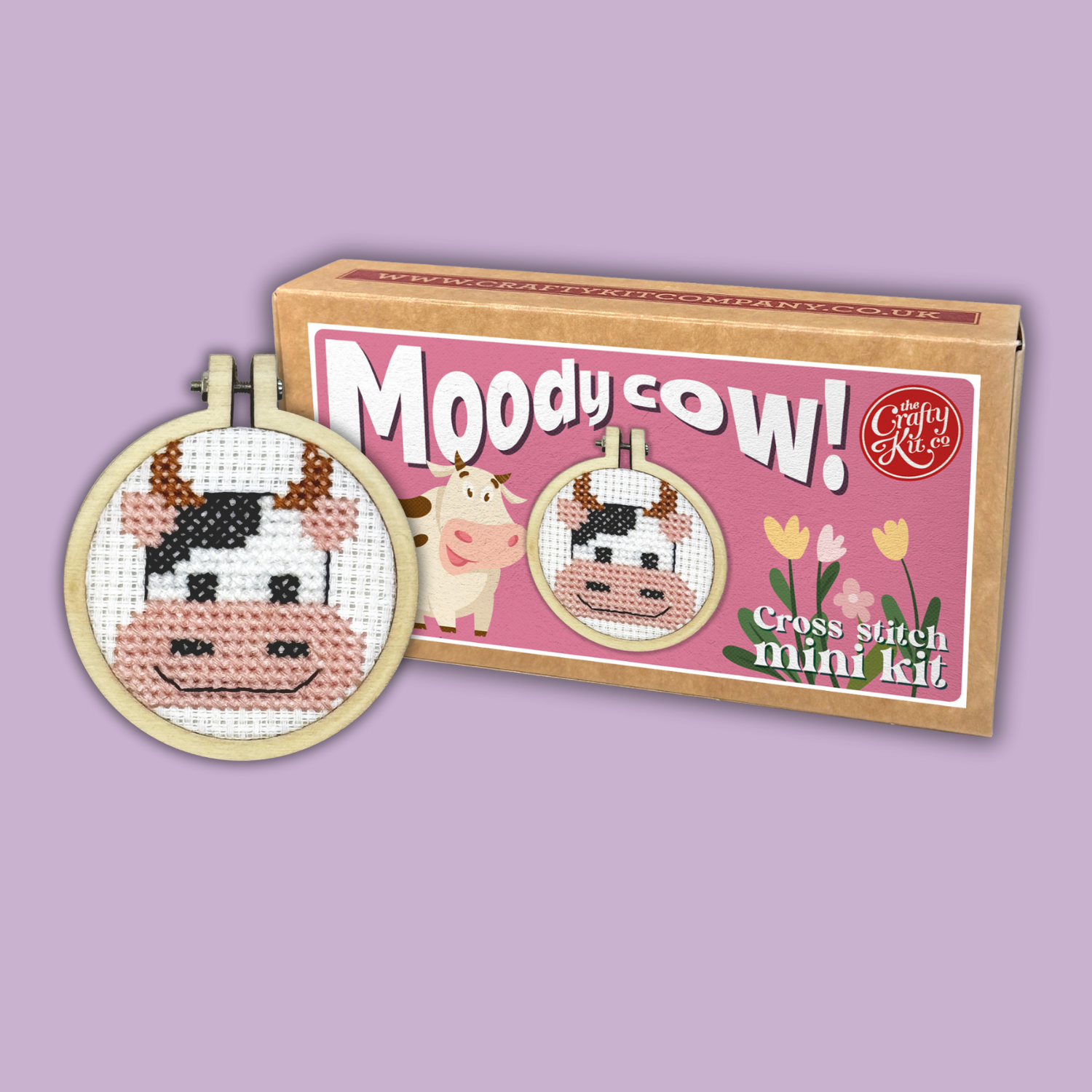 Mini Matchbox Cross Stitch Kit for Beginners and All Skill Levels