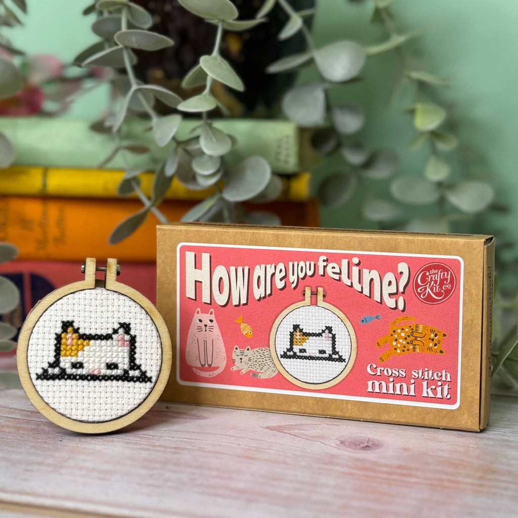 How Are You Feline Mini Matchbox Cross Stitch Kit