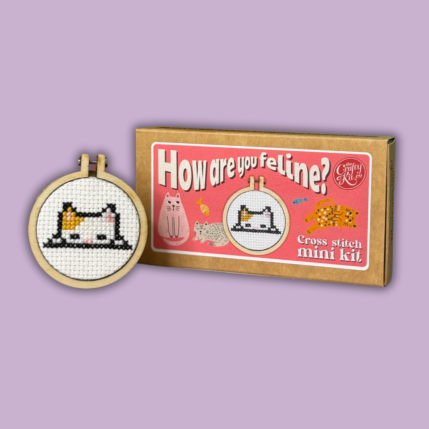 How Are You Feline Mini Matchbox Cross Stitch Kit