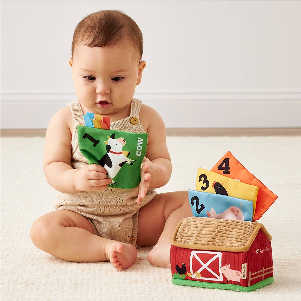 Farm Sensory Scarves Baby Toy Set with Barn Tissue Box